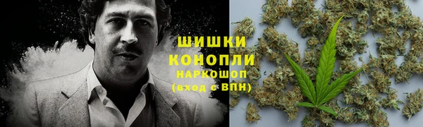 дмт Аркадак