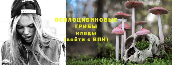дмт Аркадак
